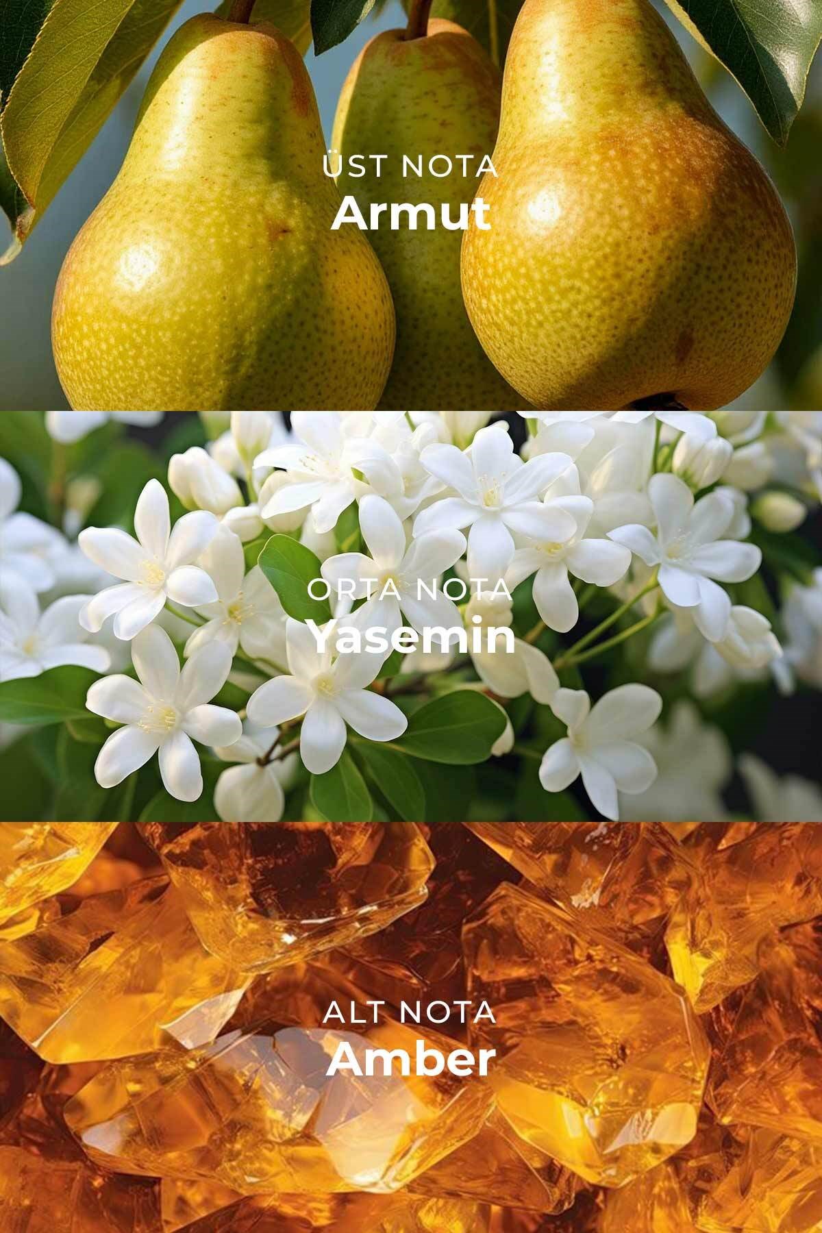 W032 Kadın Parfüm EDP 50 ml | Çiçeksi & Amberli | Armut, Mandalina, Bergamot, Portakal Çiçeği, Neroli, Yasemin, Vanilya, Amber, Beyaz Misk, Benzoin