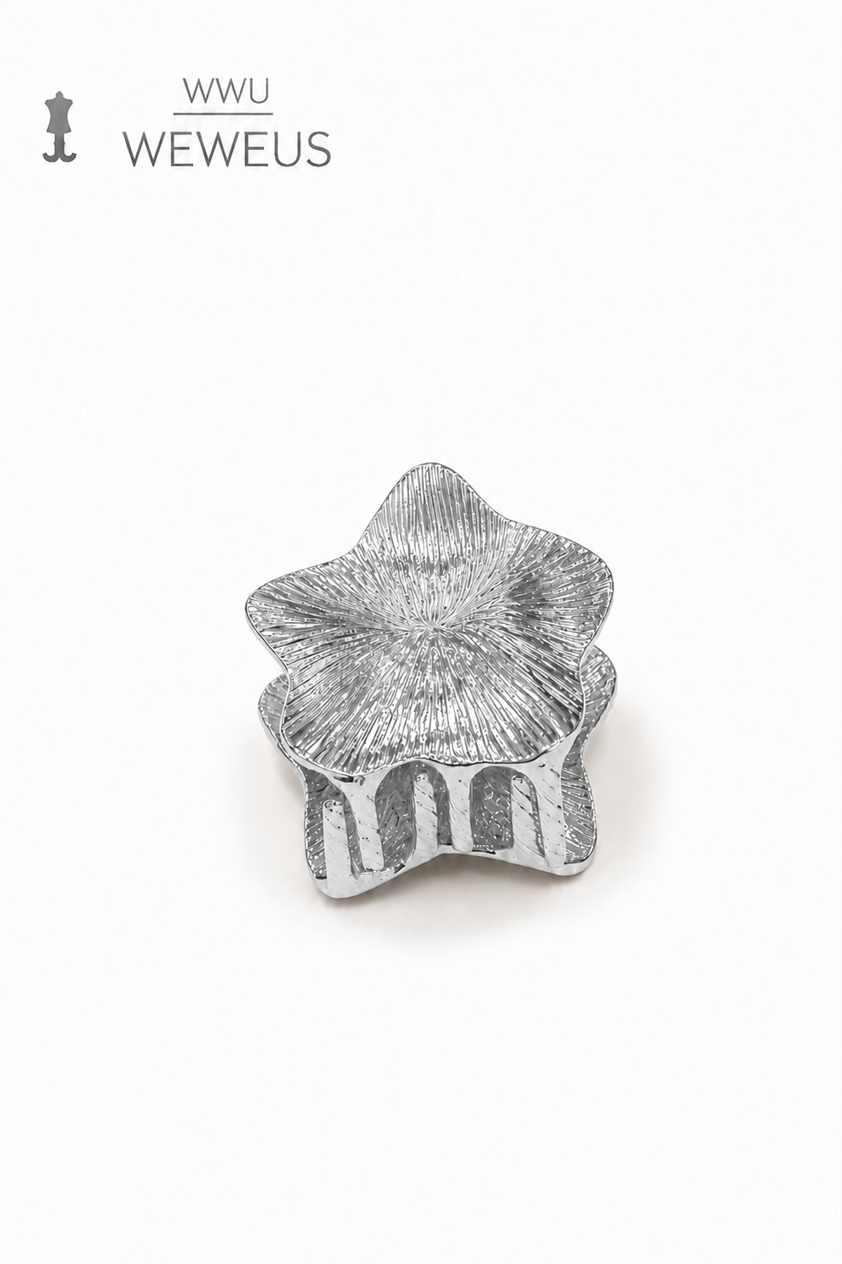 WeWeus Yıldız Gri Parlak Metal Mini Premium Mandal Toka