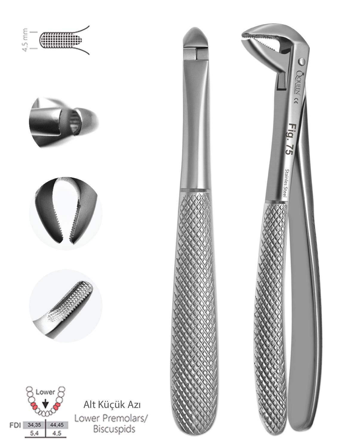 Alt Premolar Davyesi Fig. 75 4,5mm 14,5cm
