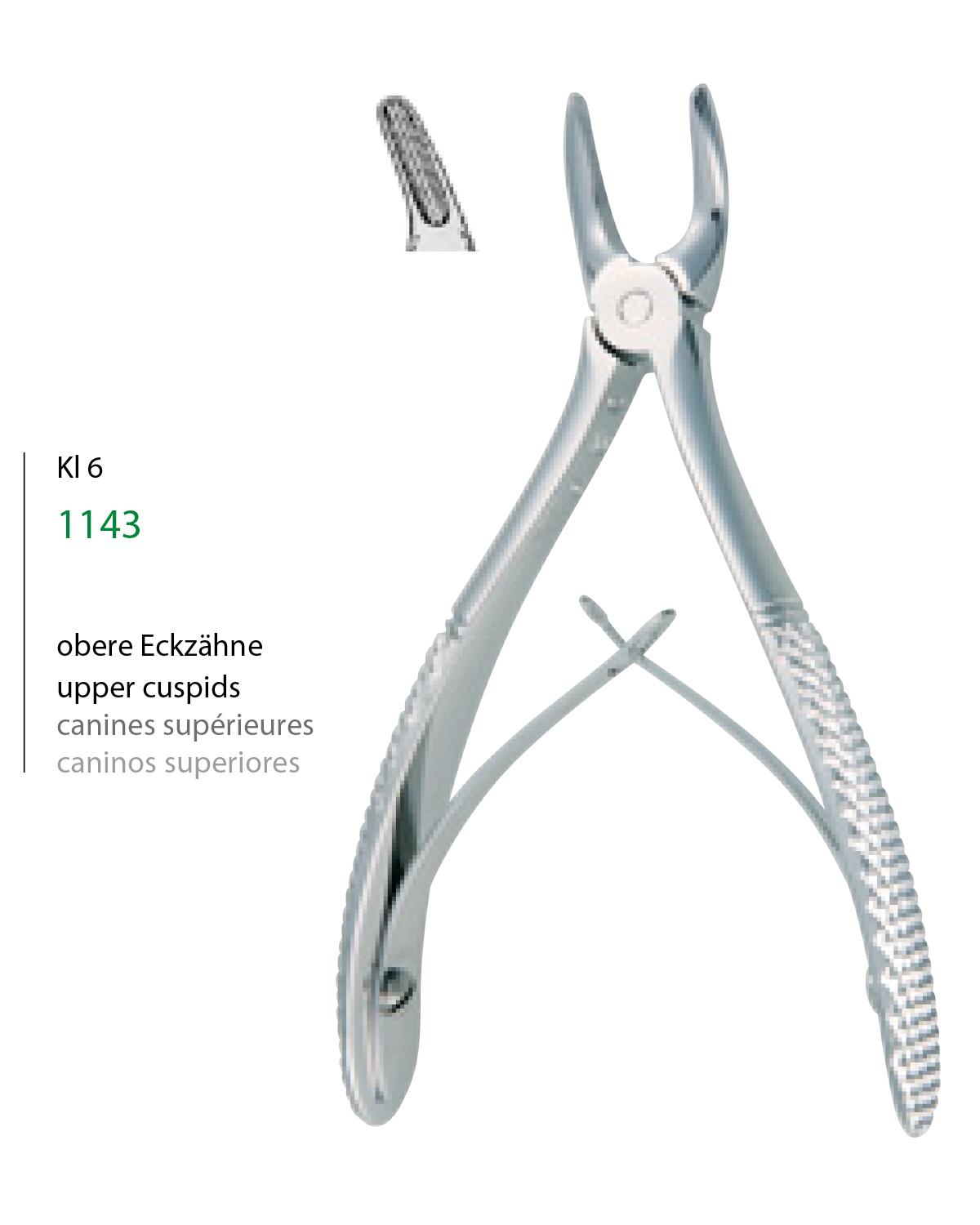 Üst Premolar Davyesi Fig. 7