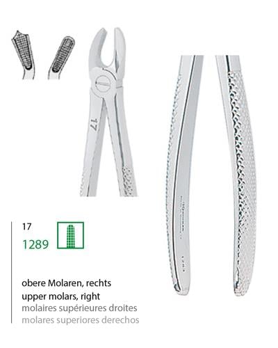 Üst Sağ Molar Davyesi Fig. 17