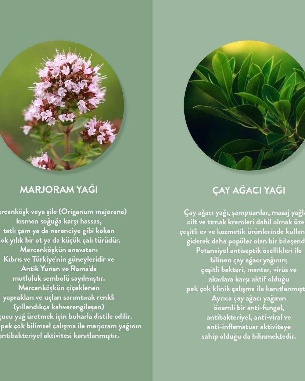 Akne Gidermeye & Gözenek Sıkılaştırmaya Yardımcı Yüz Bakım Maskesi 15 ml Mercan Köşk (Marjoram)
