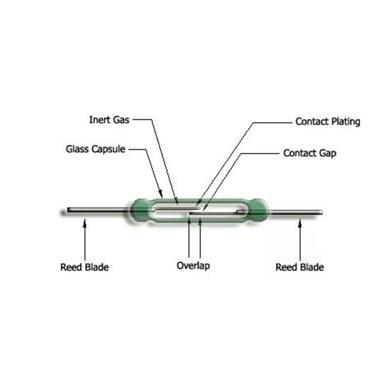 14mm Reed Röle - Reed Contact Normally Open