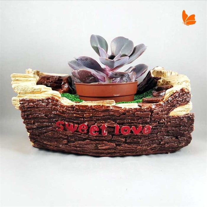 Sweet Love Pot