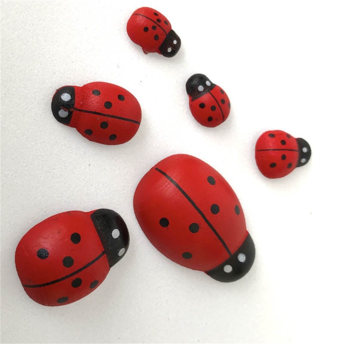 6'lı Uğur Böceği