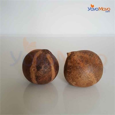 Belloni Pumpkin