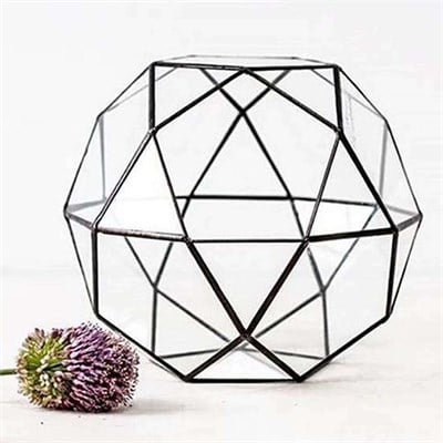 Dünya Geometrik Fanus