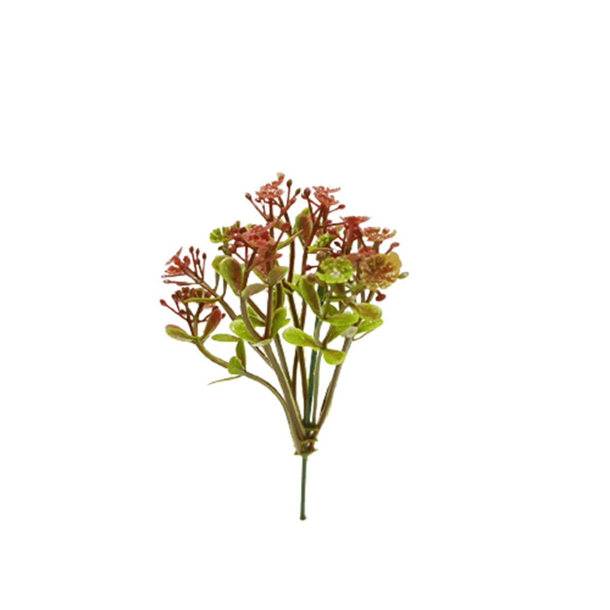 Dik Sakura