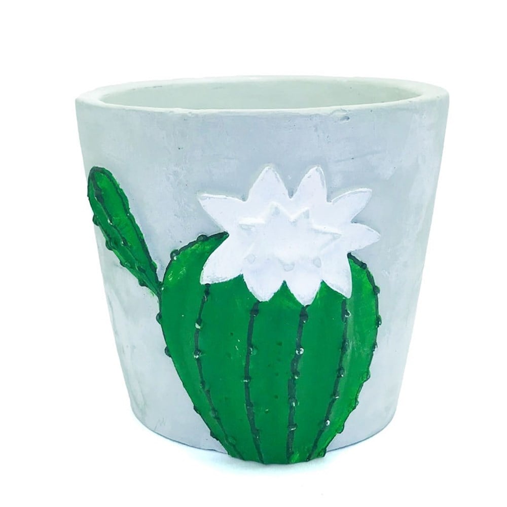 Kaktüslü Pot