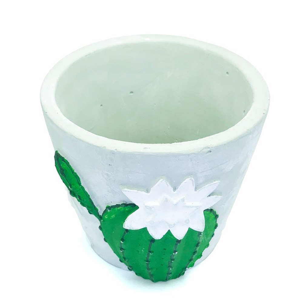 Kaktüslü Pot
