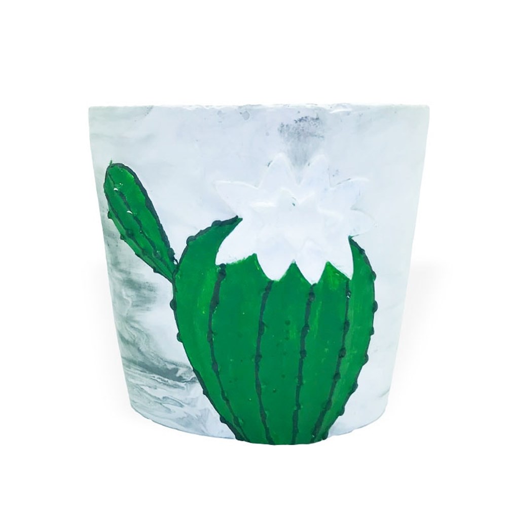 Kaktüslü Pot