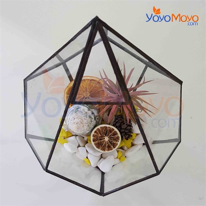 Vitray Damla Fanus