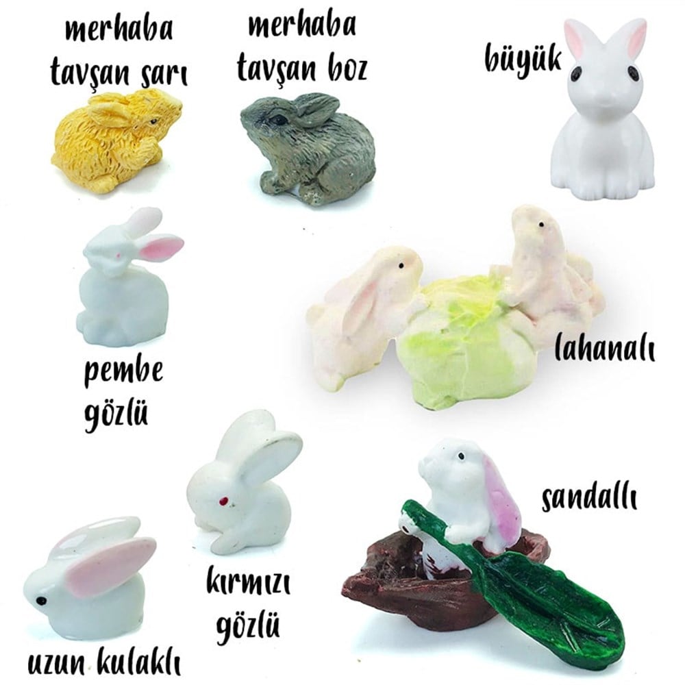 Minyatür Tavşanlar