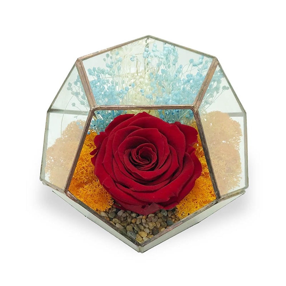 Solmayan Gül Beşgen Vitray