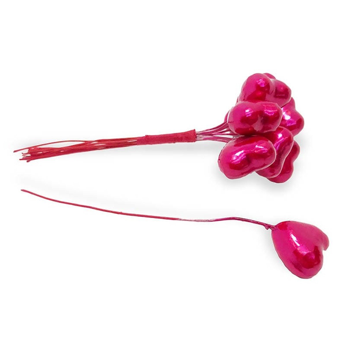 Süsleme Mantarları