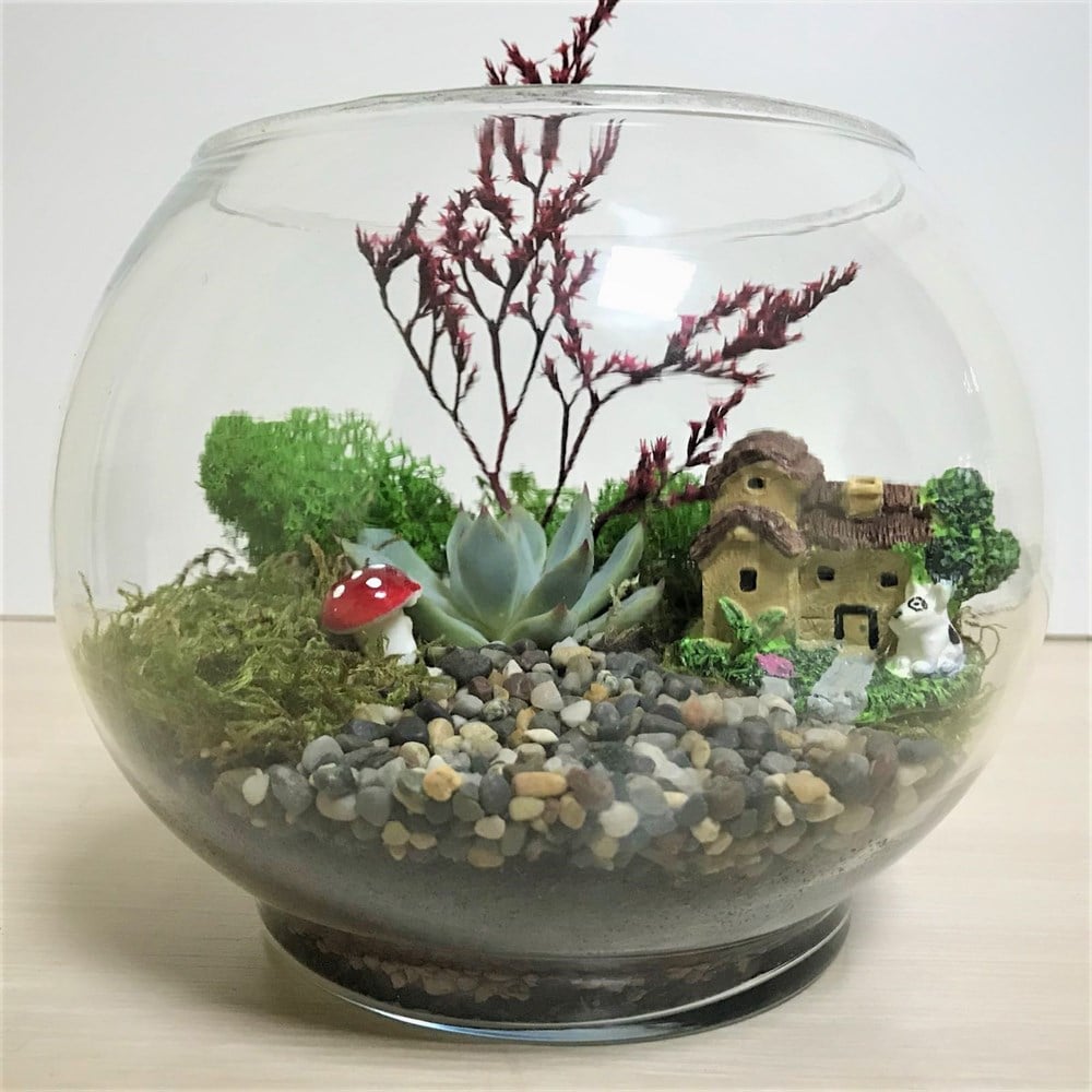 Teraryum Başlangıç Kiti