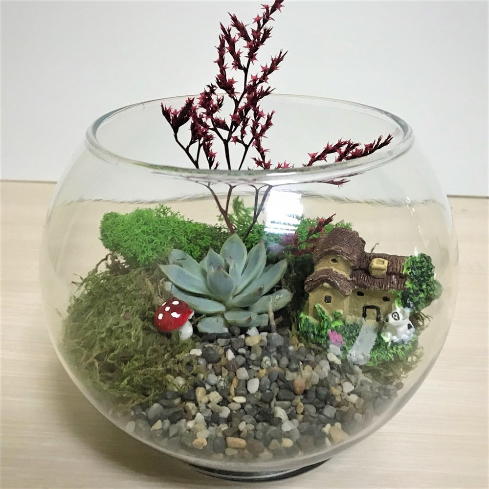 Teraryum Başlangıç Kiti