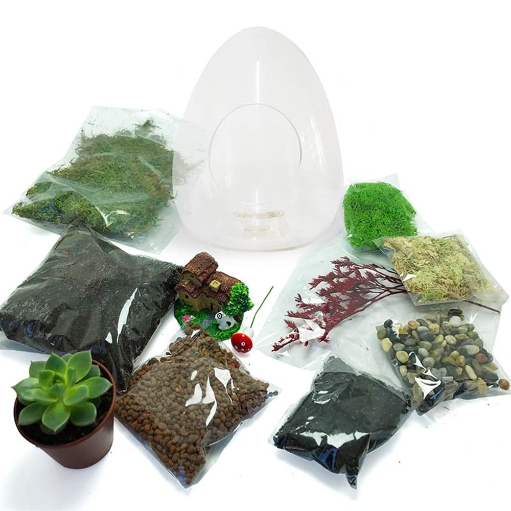 Teraryum Başlangıç Kiti-Yumurta