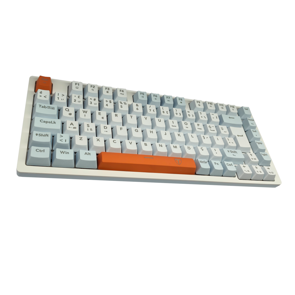 T-DAGGER T-TGK326WBO, MEGATRE, USB Kablolu, Türkçe Q,  Rainbow Backlight, Red Mekanik Switch, 82 Tuşlu, Gaming Klavye