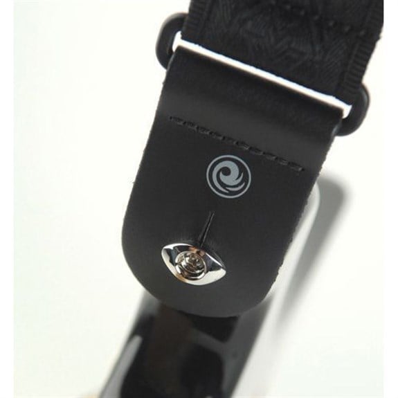 Planet Waves PWEEP202 Elips Askı Pini Krom Çift