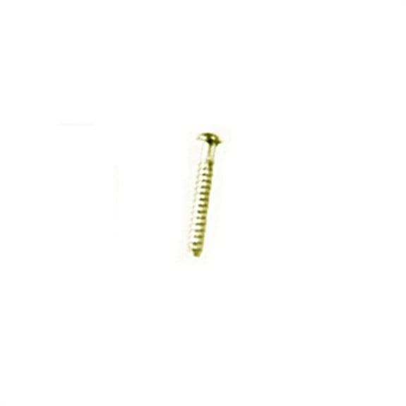 S.I.C S2116GD String Tree ve Benzeri Malzeme Vidası Altın (6 Adet)