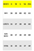 Freemen-Freemen Taba Kadın Yağmurluk Rüzgarlık | Su ve rüzgar geçirmez Kapüşonlu Mevsimlik, Sepette İndirim