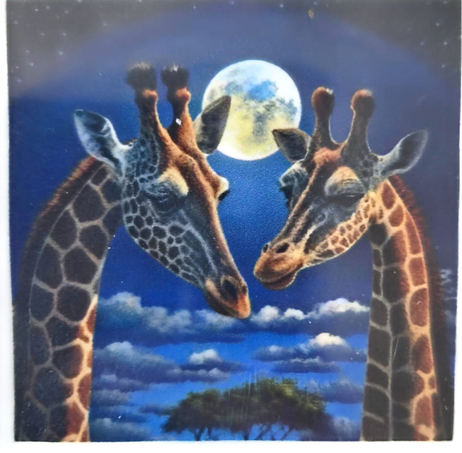 Elmas Mozaik Tablo, 30x30cm İki Zürafa Boncuk Yapıştırma Kiti  
