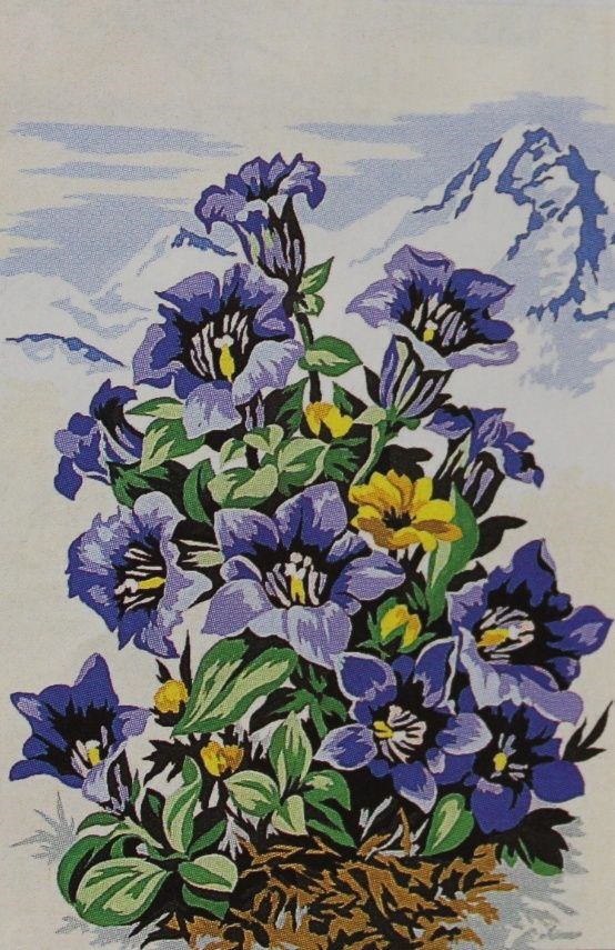 SEG GOBLEN 30x40CM