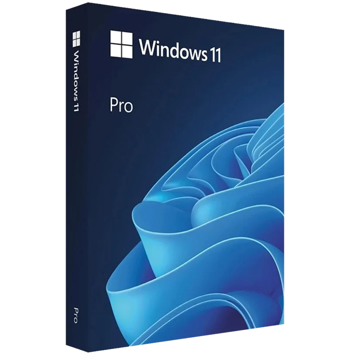 Microsoft Windows 11 Professional