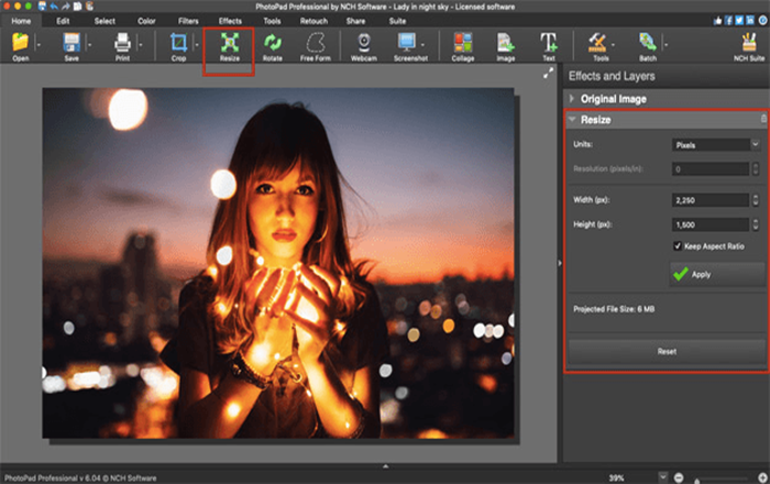 NCH PhotoPad Photo Editor Pro Edition 2025 | 1 Device | 1 Year