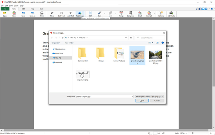 NCH PicoPDF PDF Editor Home Edition 2025 | 1 Device | 1 Year