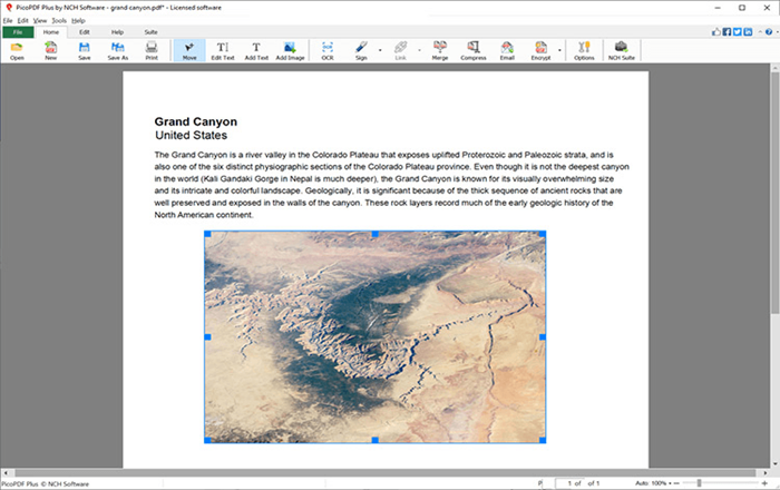 NCH PicoPDF PDF Editor Home Edition 2025 | 1 Device | 1 Year