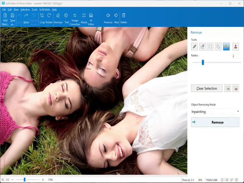 SoftOrbits AI Photo Editor 10.4 | 1 Device | 1  Year