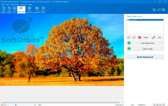SoftOrbits Batch Picture Protector 7.1 | 1 Device | Life Time