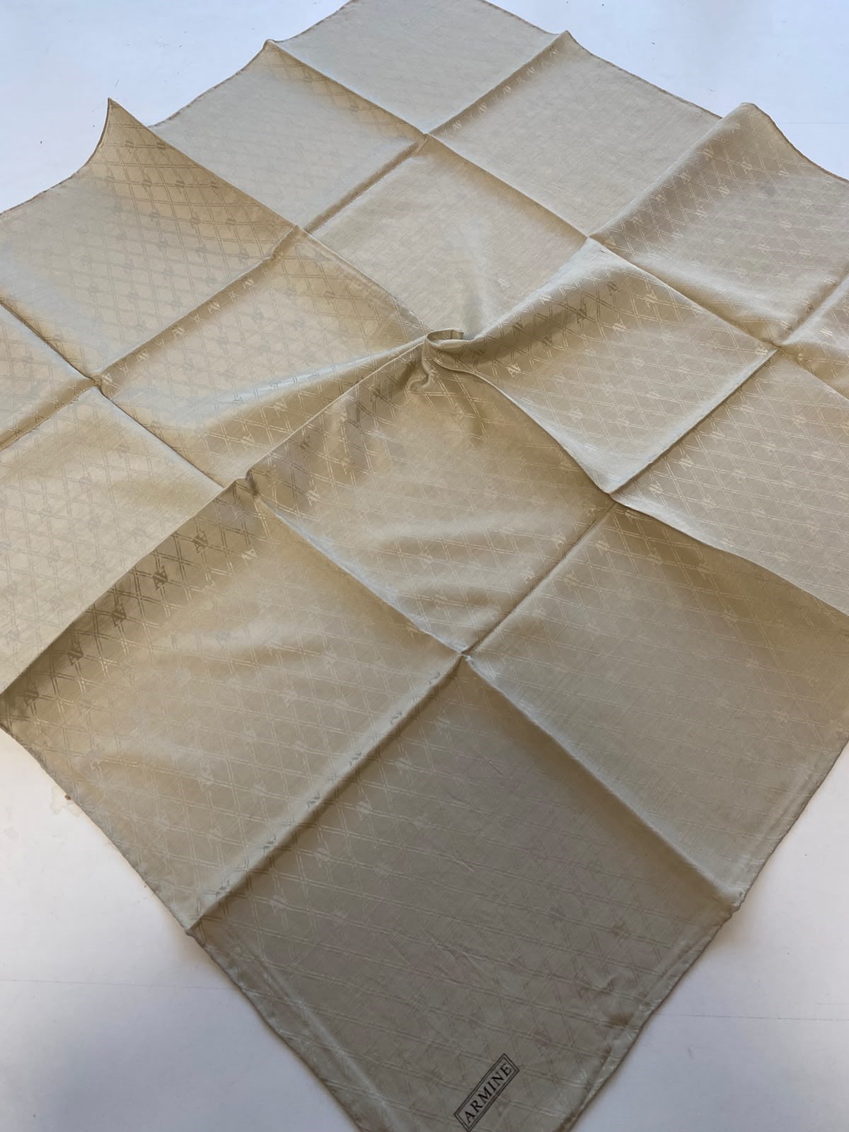 Armine Elegance Eşarp P3001 58