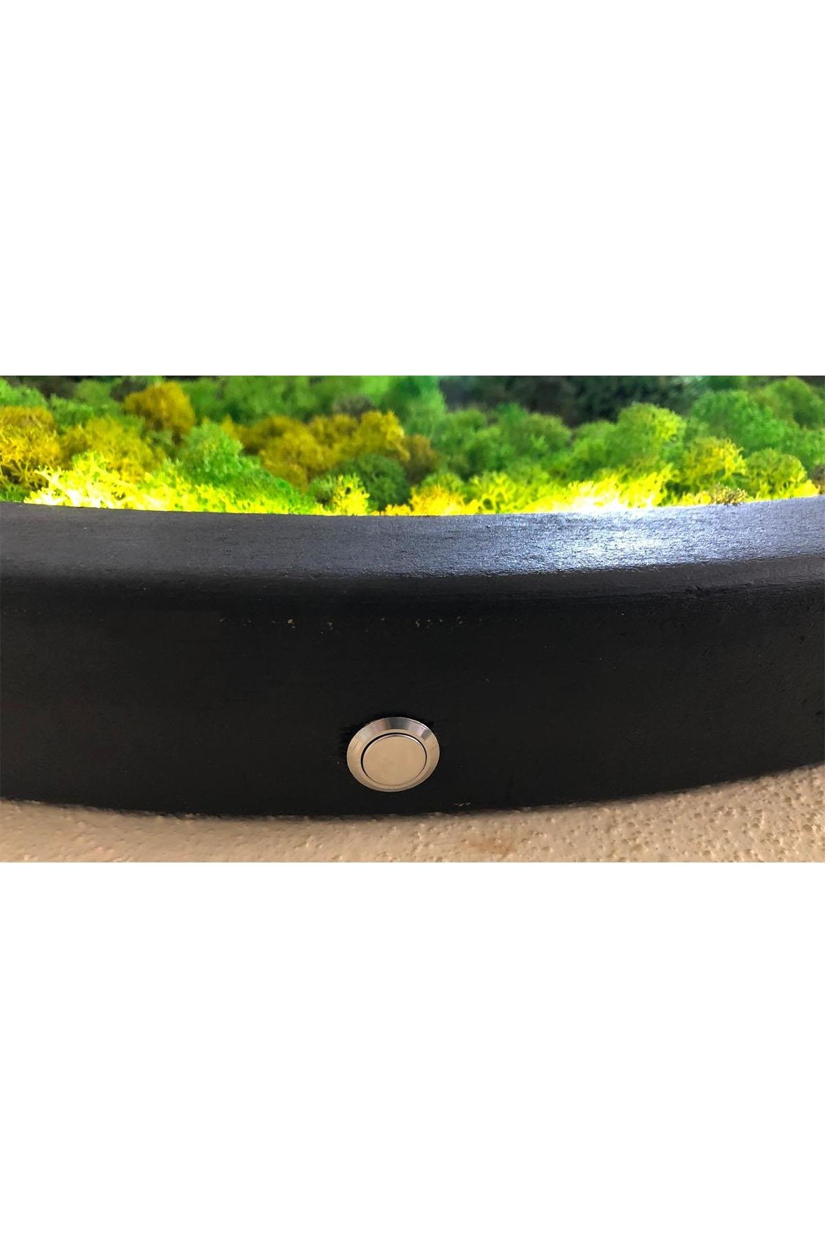 Moss Circle LED