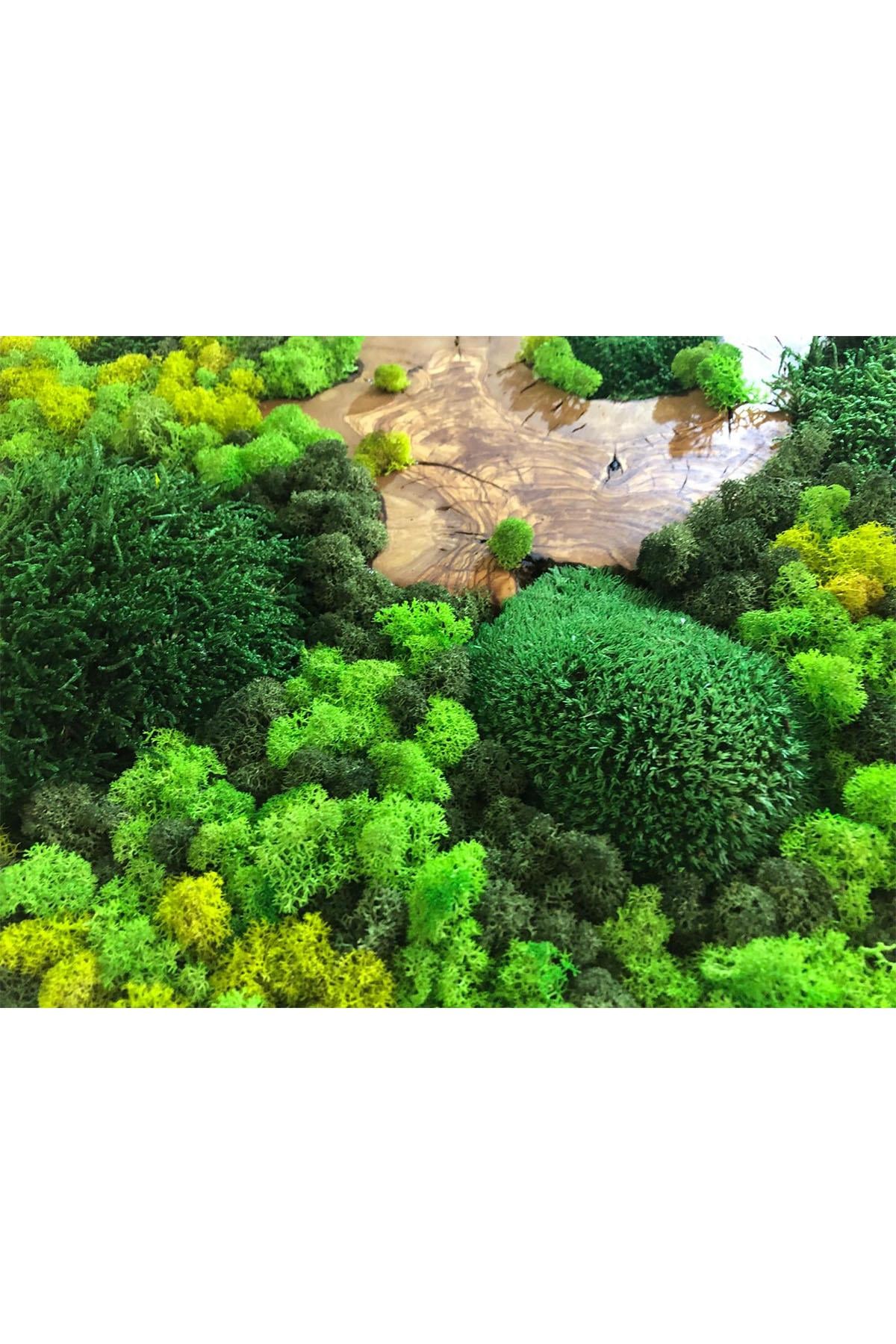 Moss Circle LED
