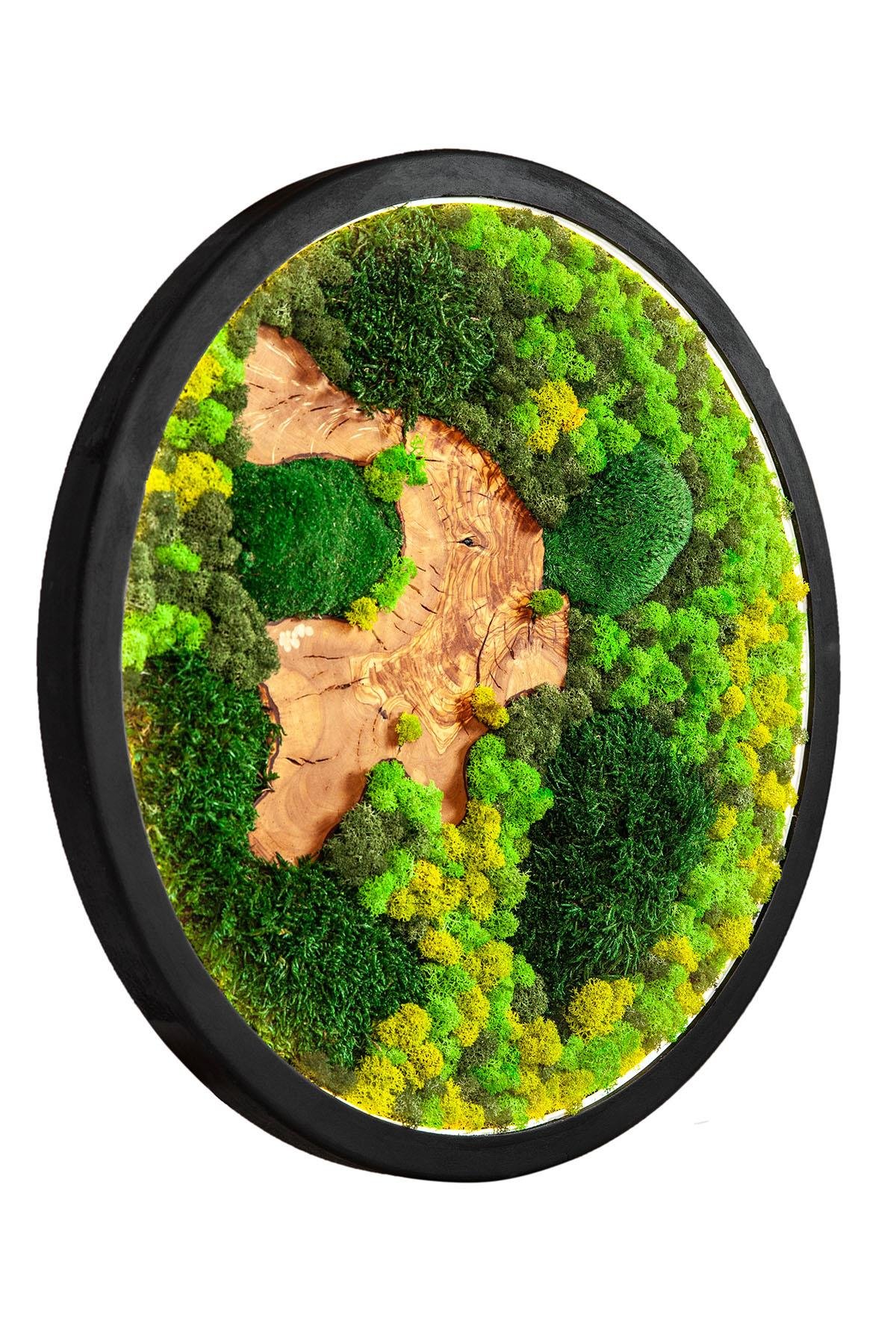 Moss Circle LED
