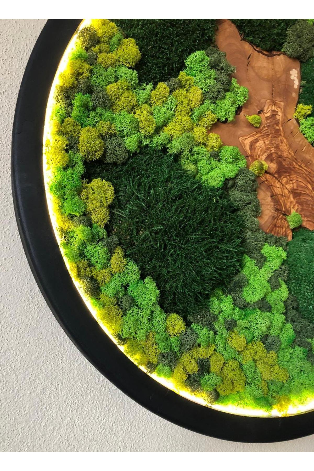 Moss Circle LED