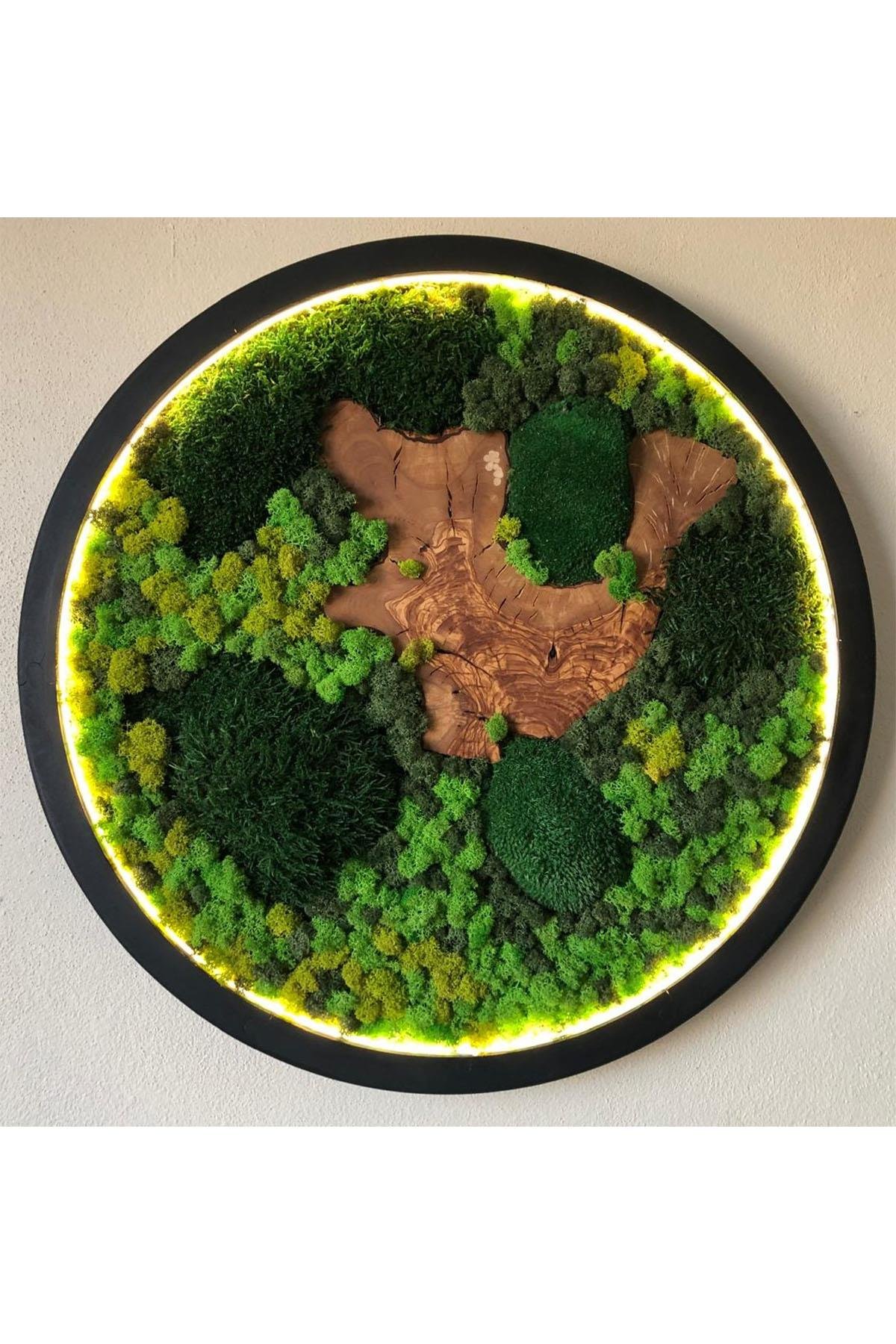 Moss Circle LED