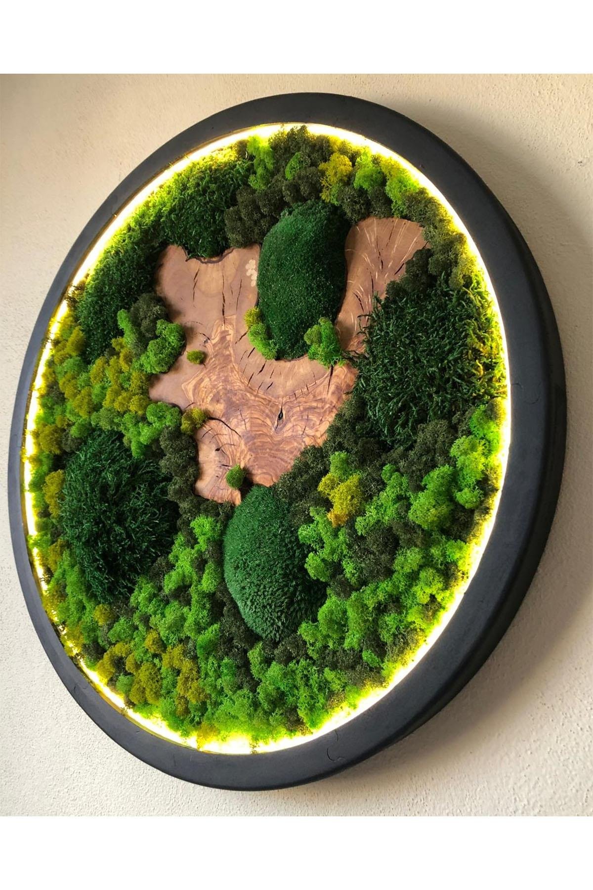 Moss Circle LED