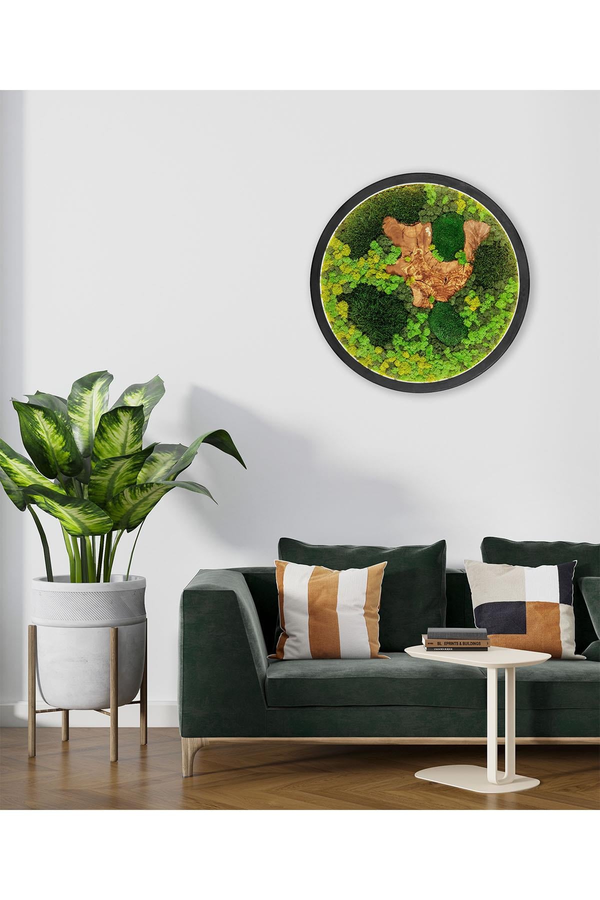 Moss Circle LED