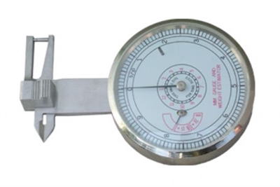 Saatli Taş Kumpası