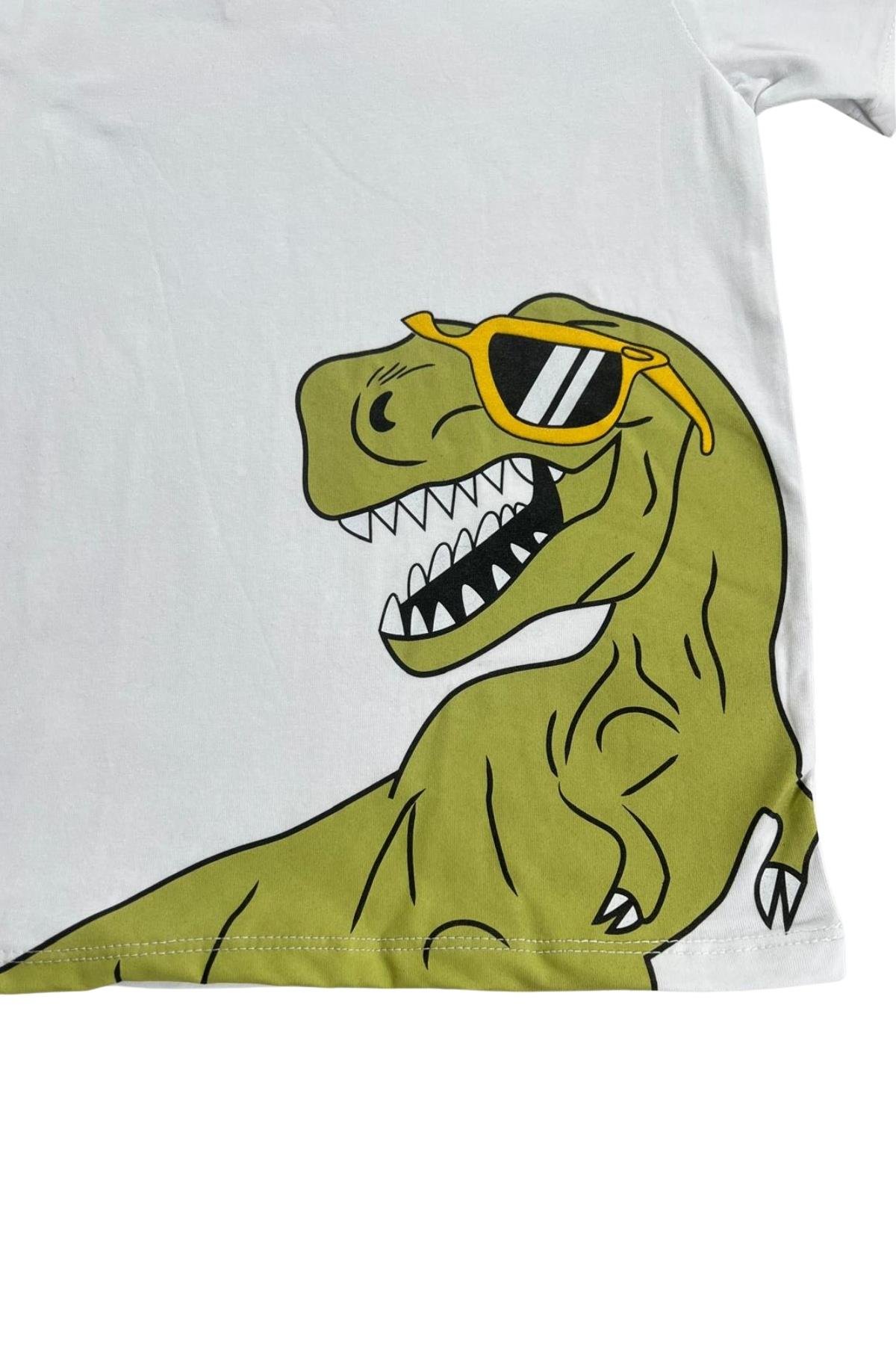 Dinozor Baskı Erkek Çocuk Takım