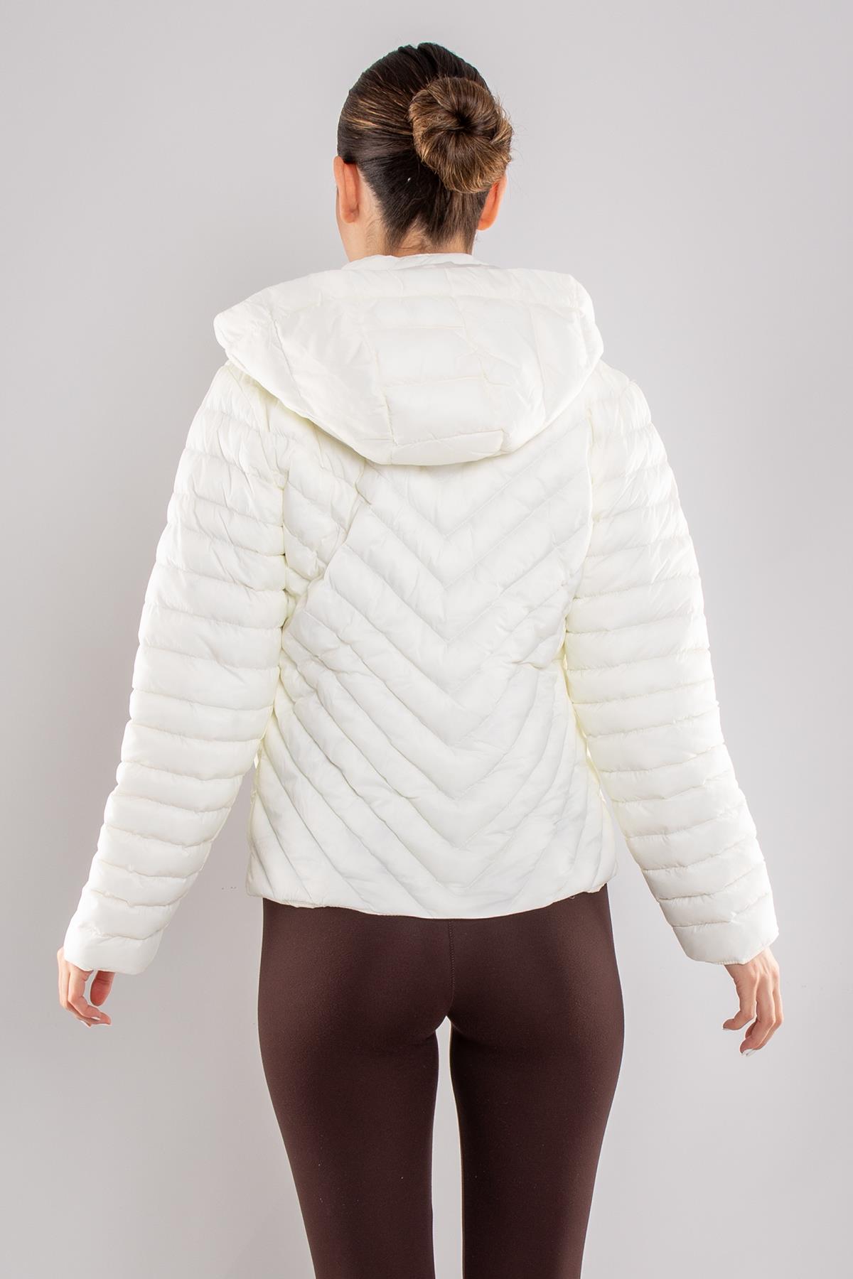 JAKLİN Slimfit Cep Çıtçılı Kapüşonlu Kısa Şişme Mont