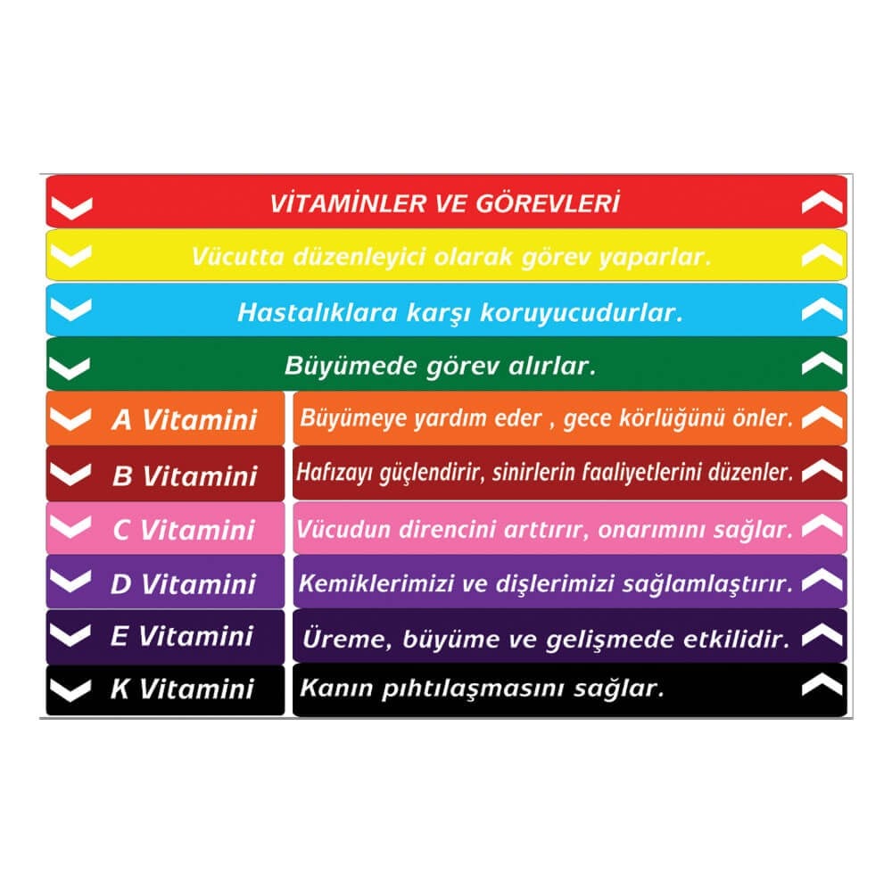 Fen Bilgisi Merdiven Yazıları (Laminasyonlu)