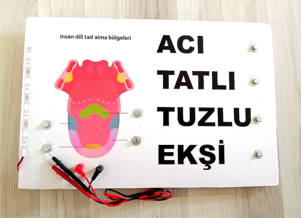 orktektsrm40Dilin Kısımları Eşleştirme Projesi Test Probu Pil DahilTeknoloji Tasarım ÜrünleriOkularenkkat