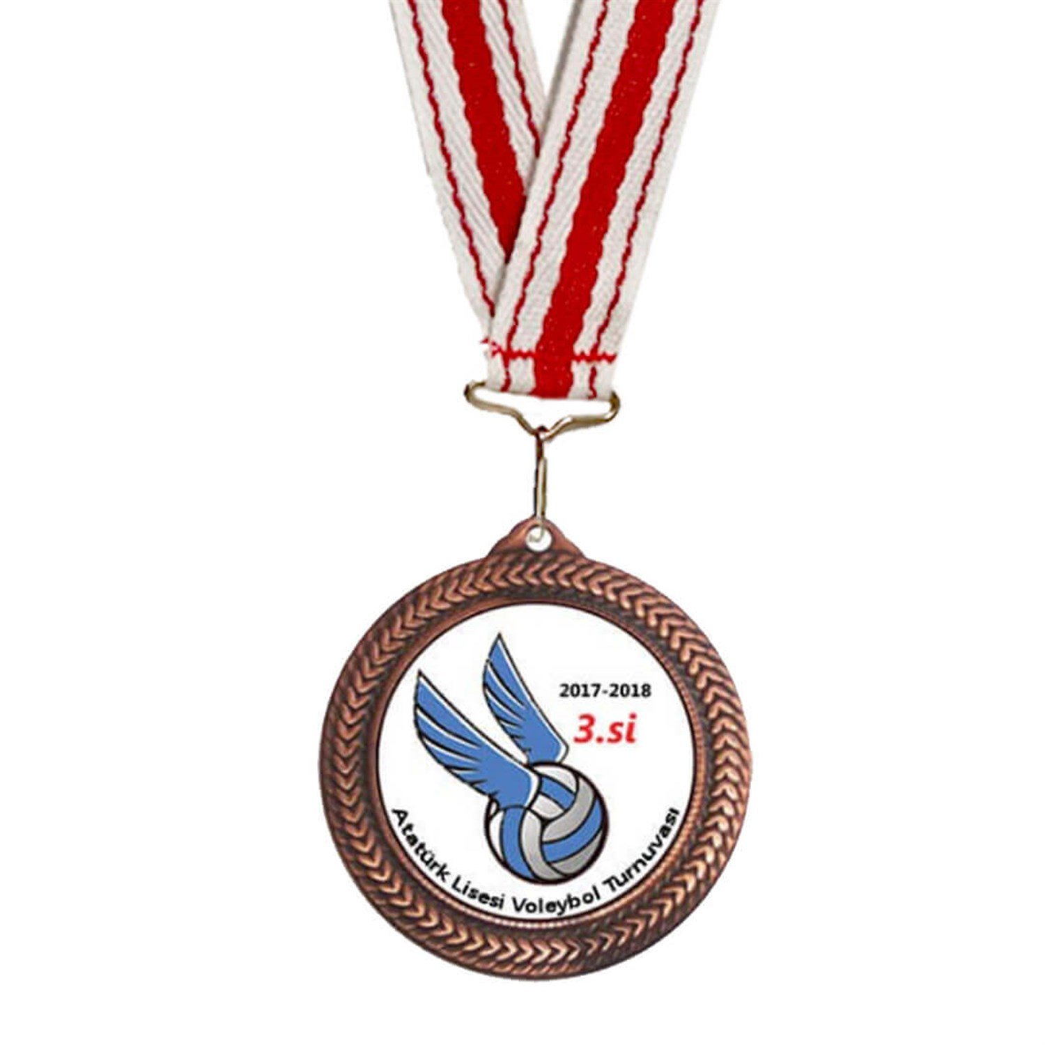 Voleybol Madalyası 2 (Bronz)
