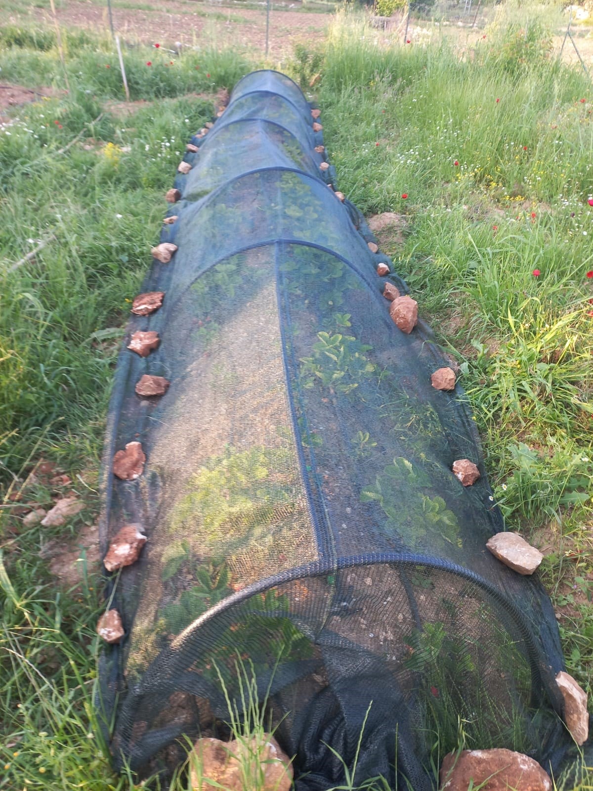 Gölge Filesi - 40lık - Yeşil - Düz Kenar 