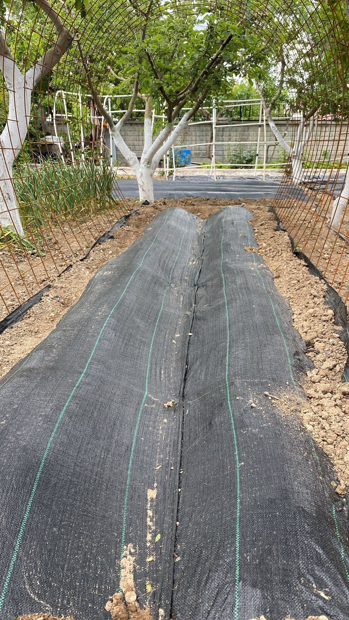 Yabani Ot ve Sera Taban Örtüsü - Siyah - 90 gram/m2 